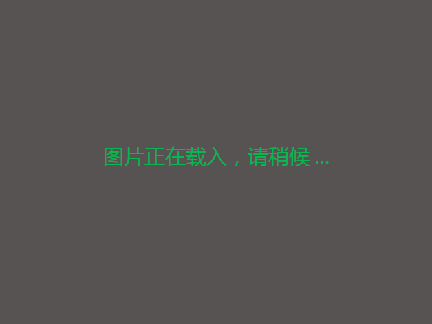 樟市镇美丽圩镇客厅B-1、B-2铺面-产权中心